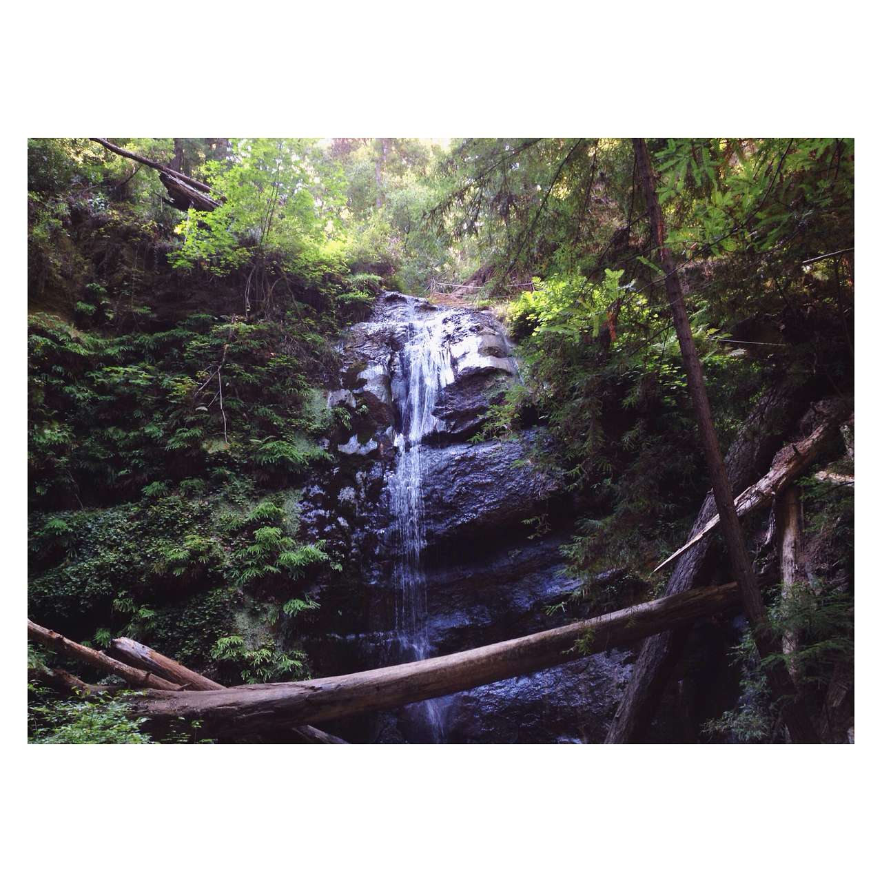 berry creek loop