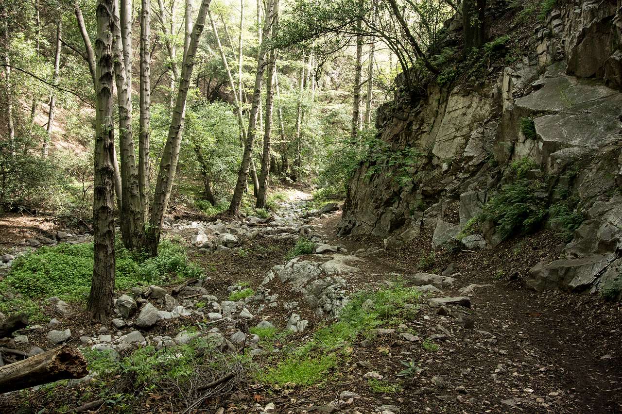 Hoagees to Winter Creek Junction.