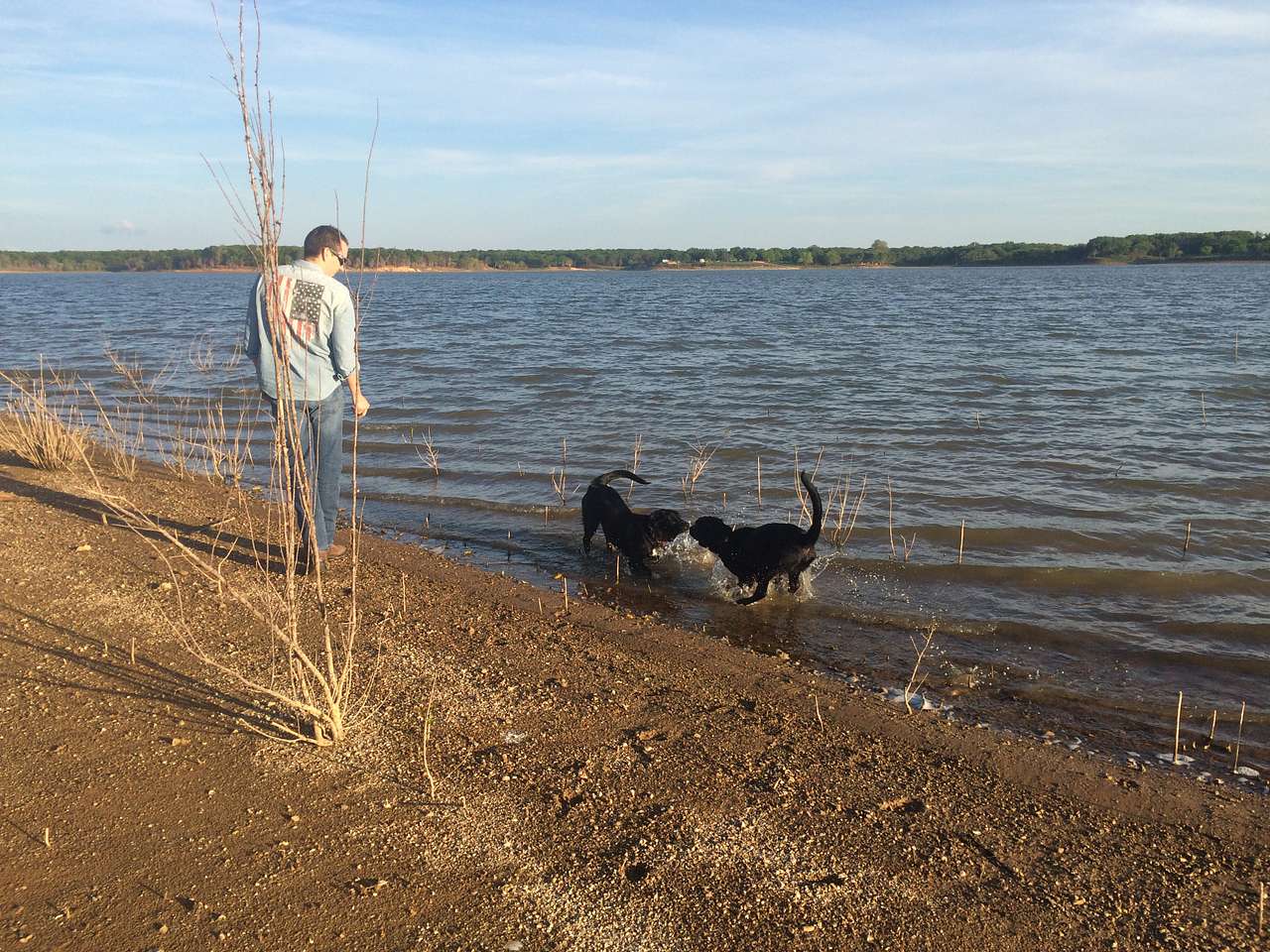 Fun in the lake!