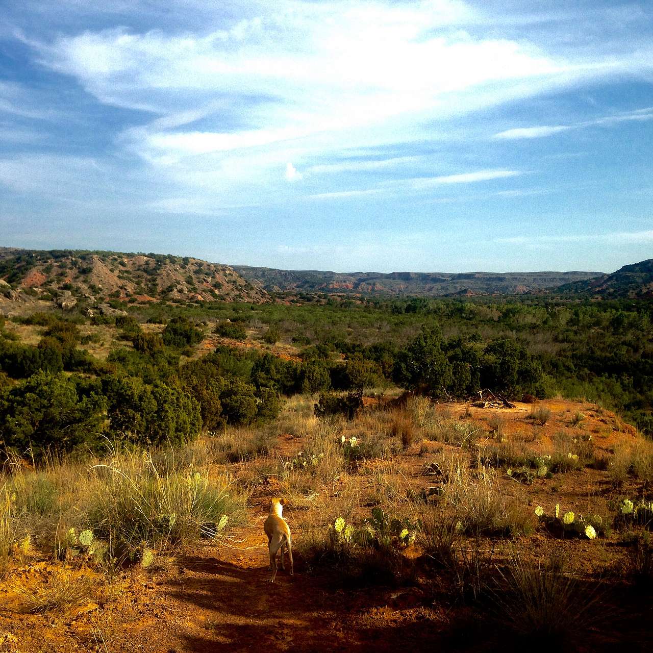 Backcountry PD
