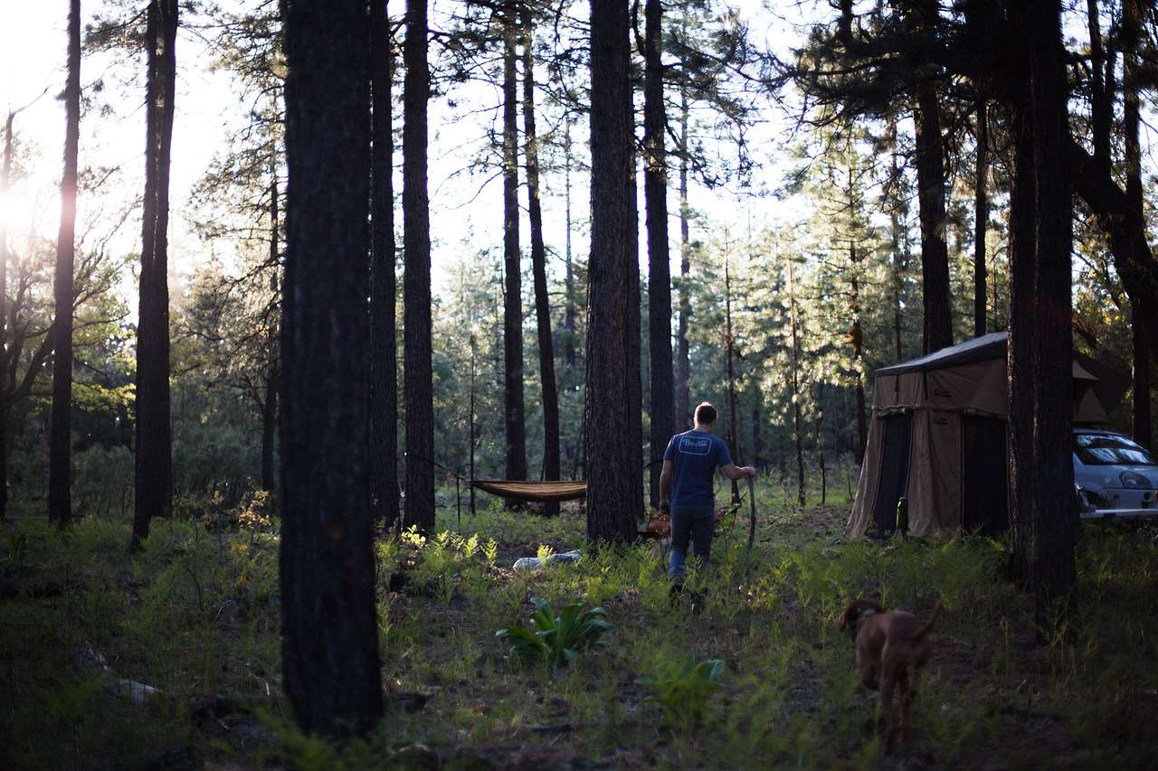 Beautiful Mogollon Rim camping area!