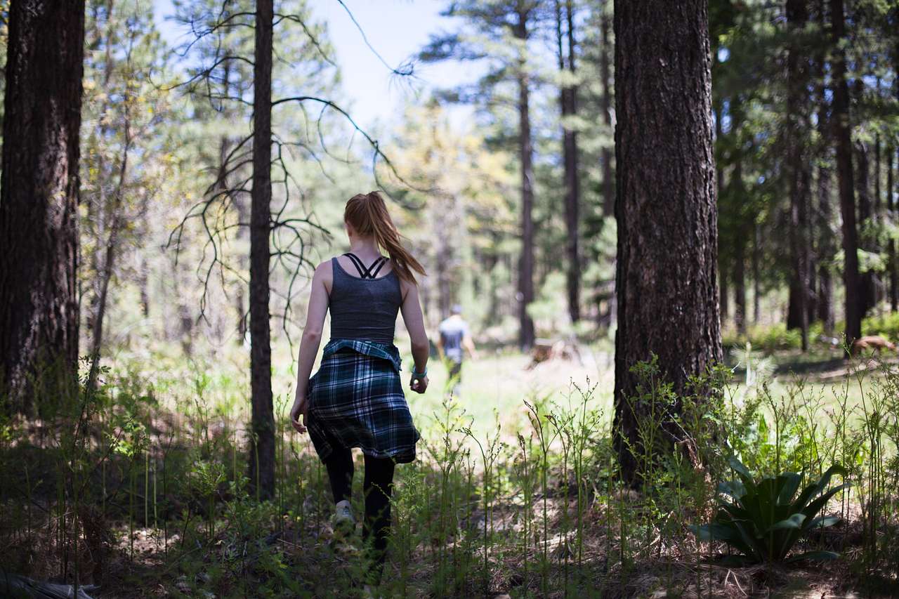 Beautiful Mogollon Rim camping area!