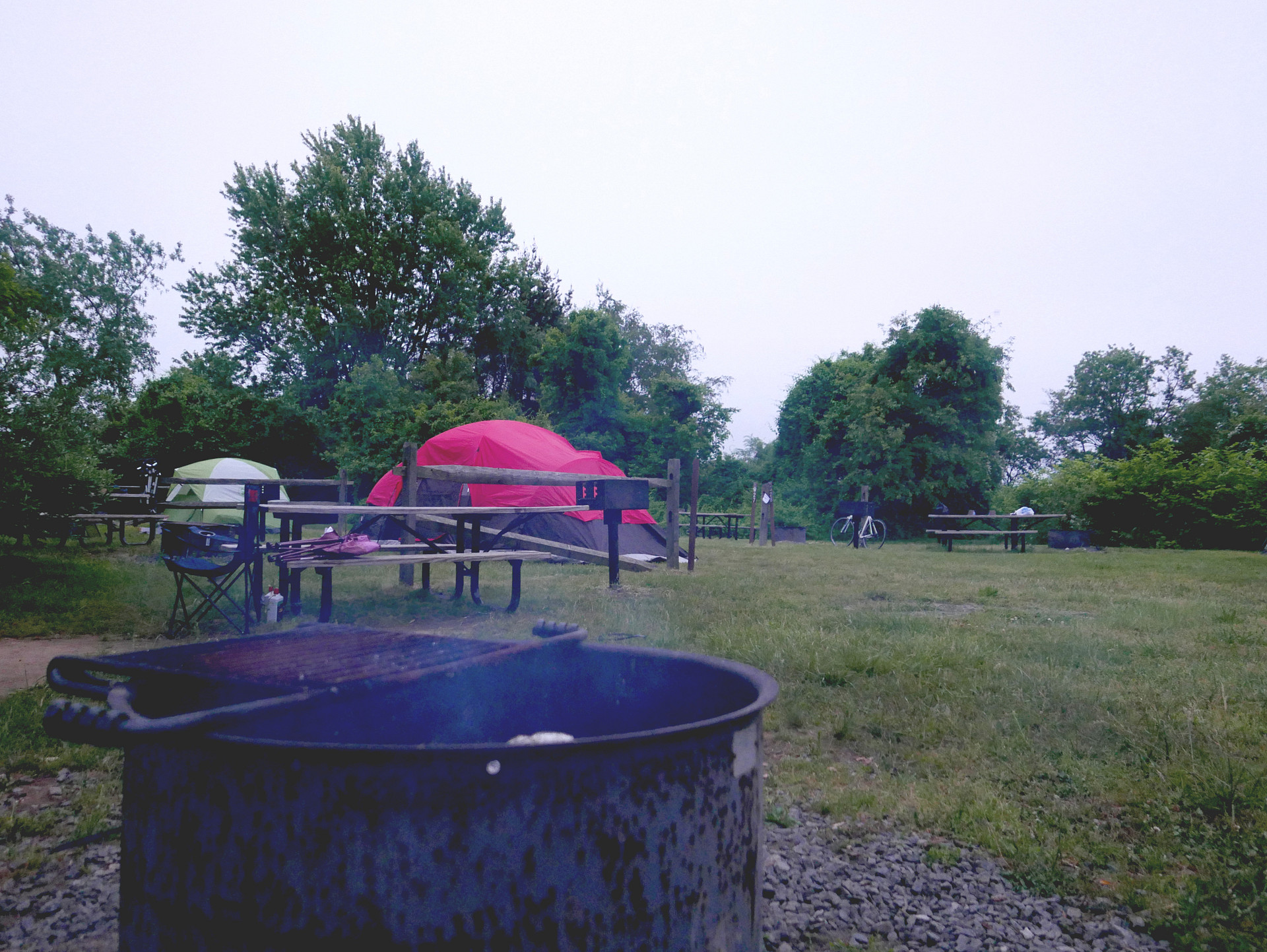 Fire rings at every camp site