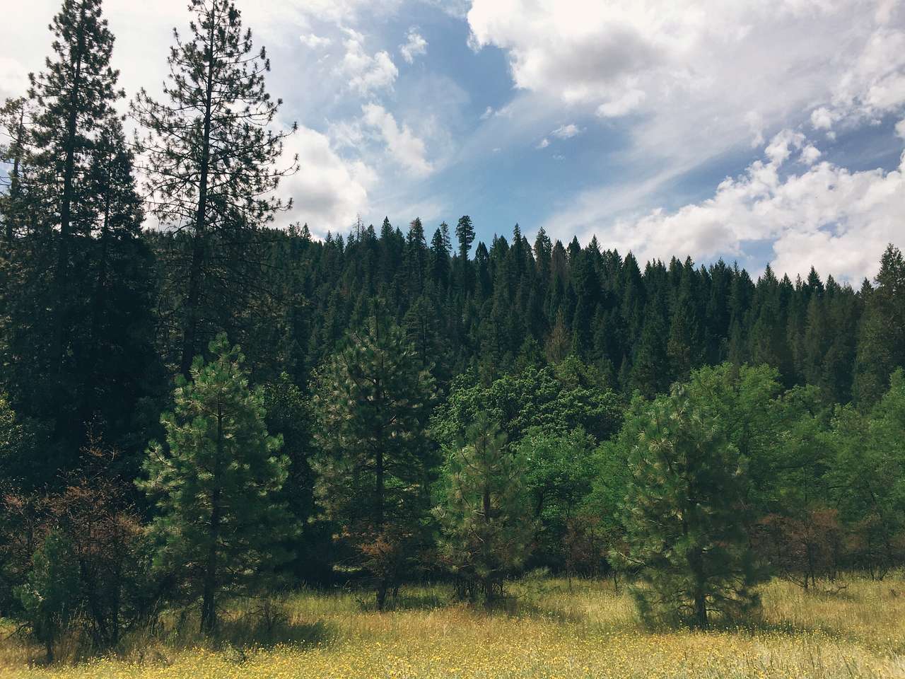 Pacific Valley Campground