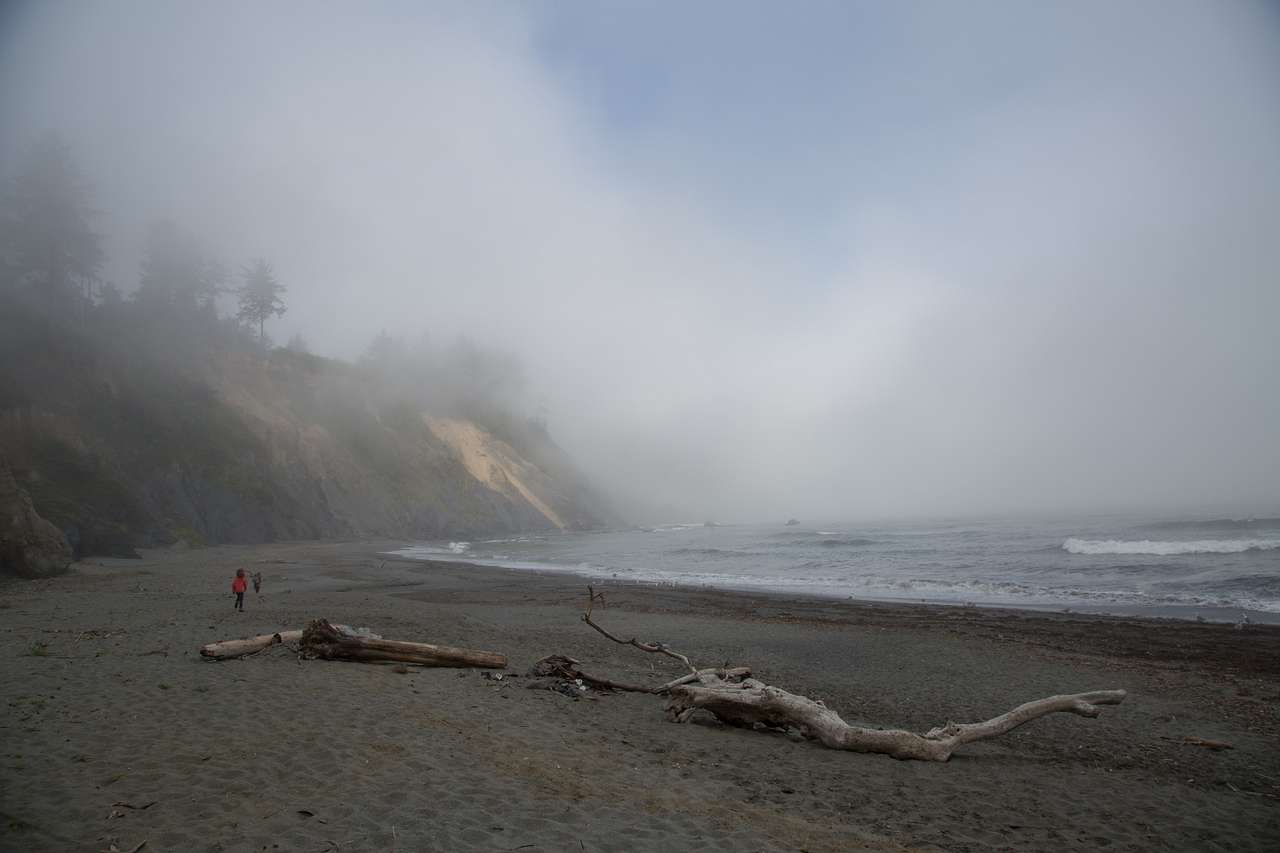 The beach is often foggy.