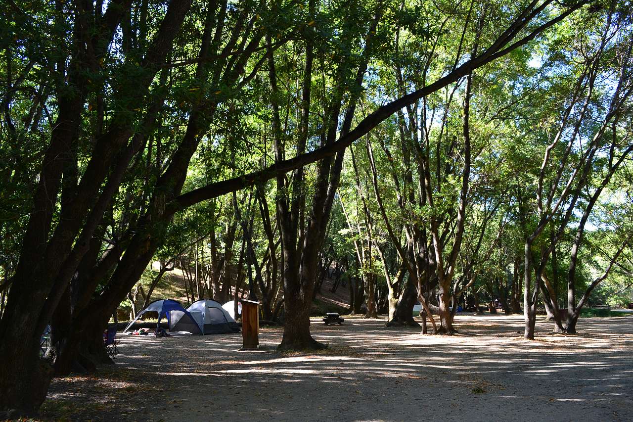 Back Ranch Meadows Campground