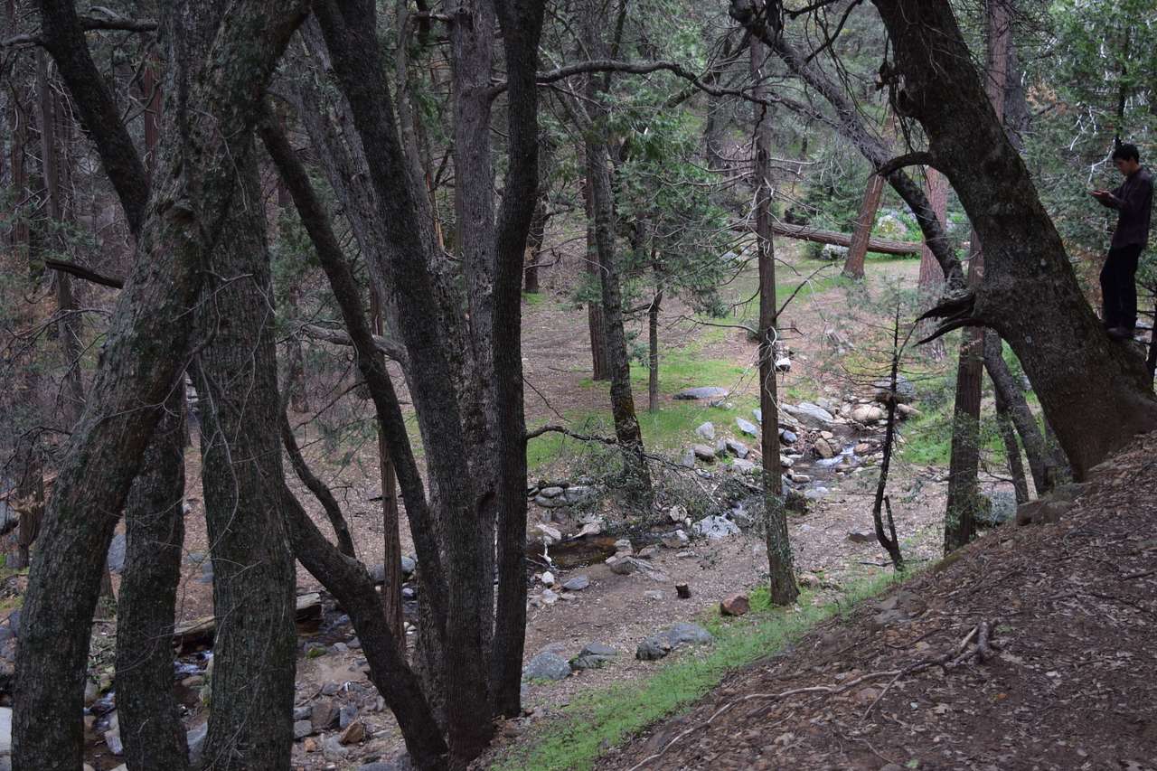 Cedar Creek Campground