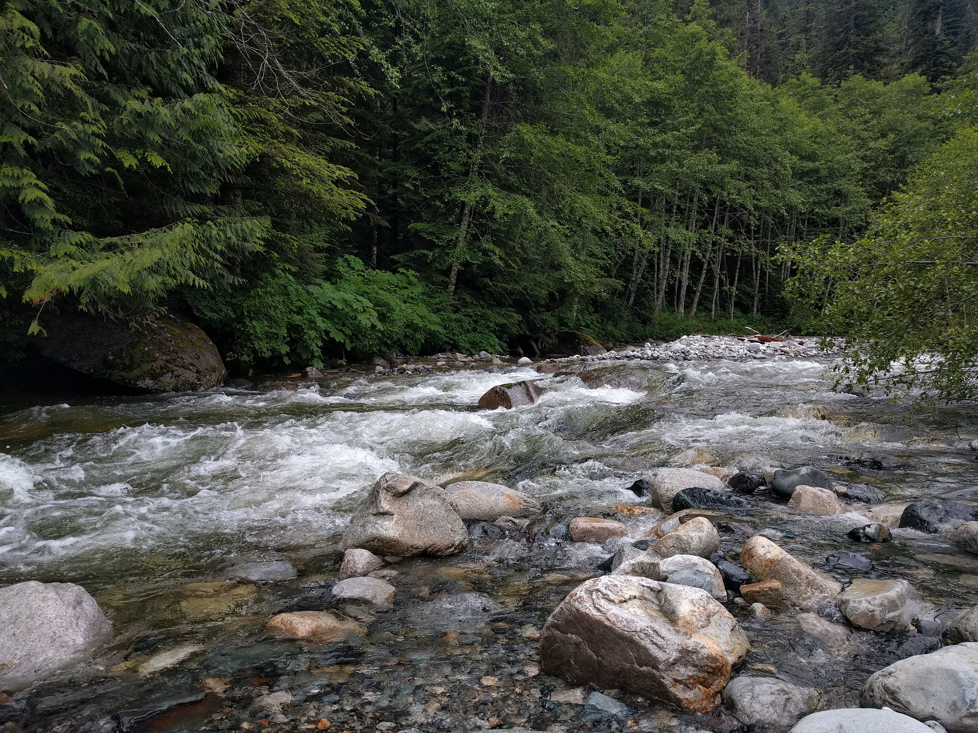 View of the river near our site