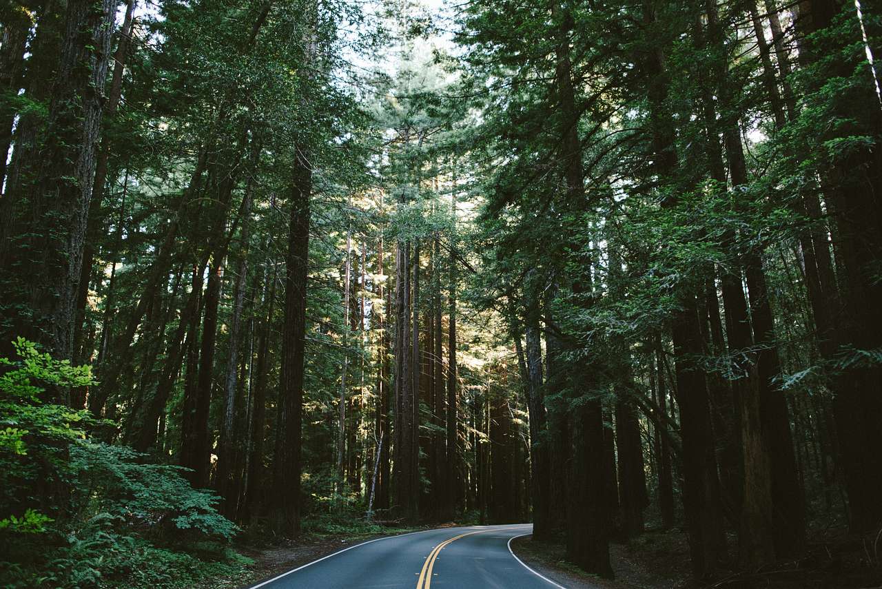 HWY 128