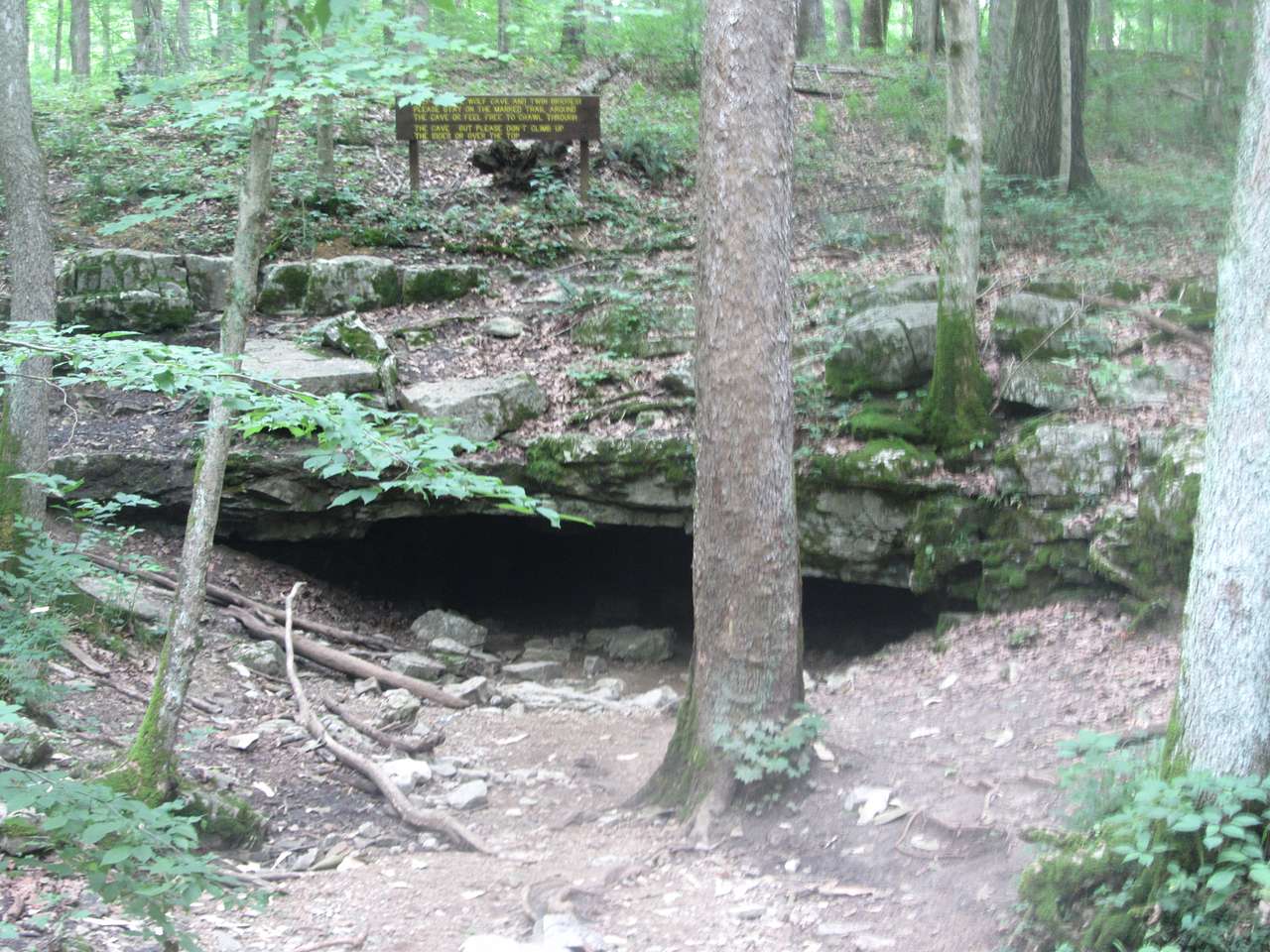 Wolf Cave