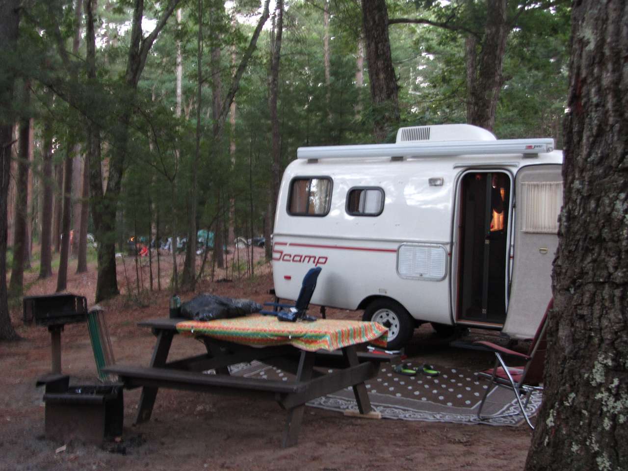 Site 81
