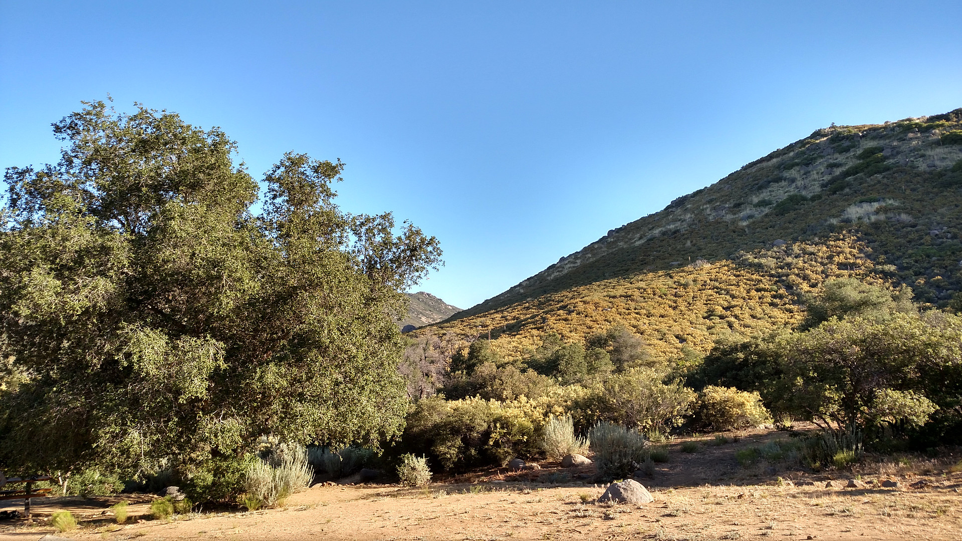 Landscape behind campsite 19
