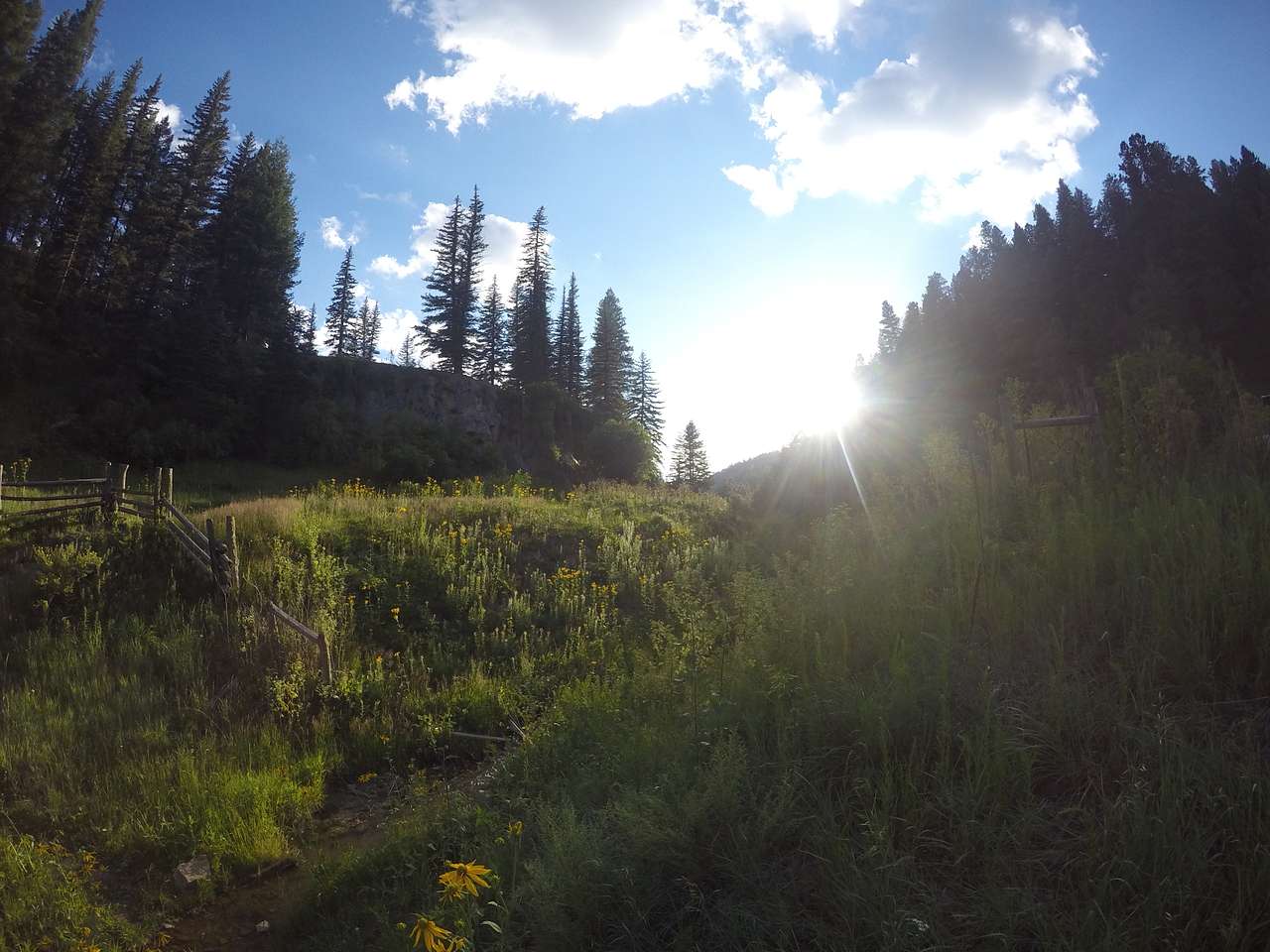 Bluff Springs Dispersed Campsites