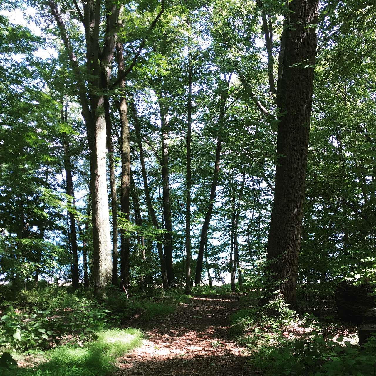 Round Valley Recreation Area