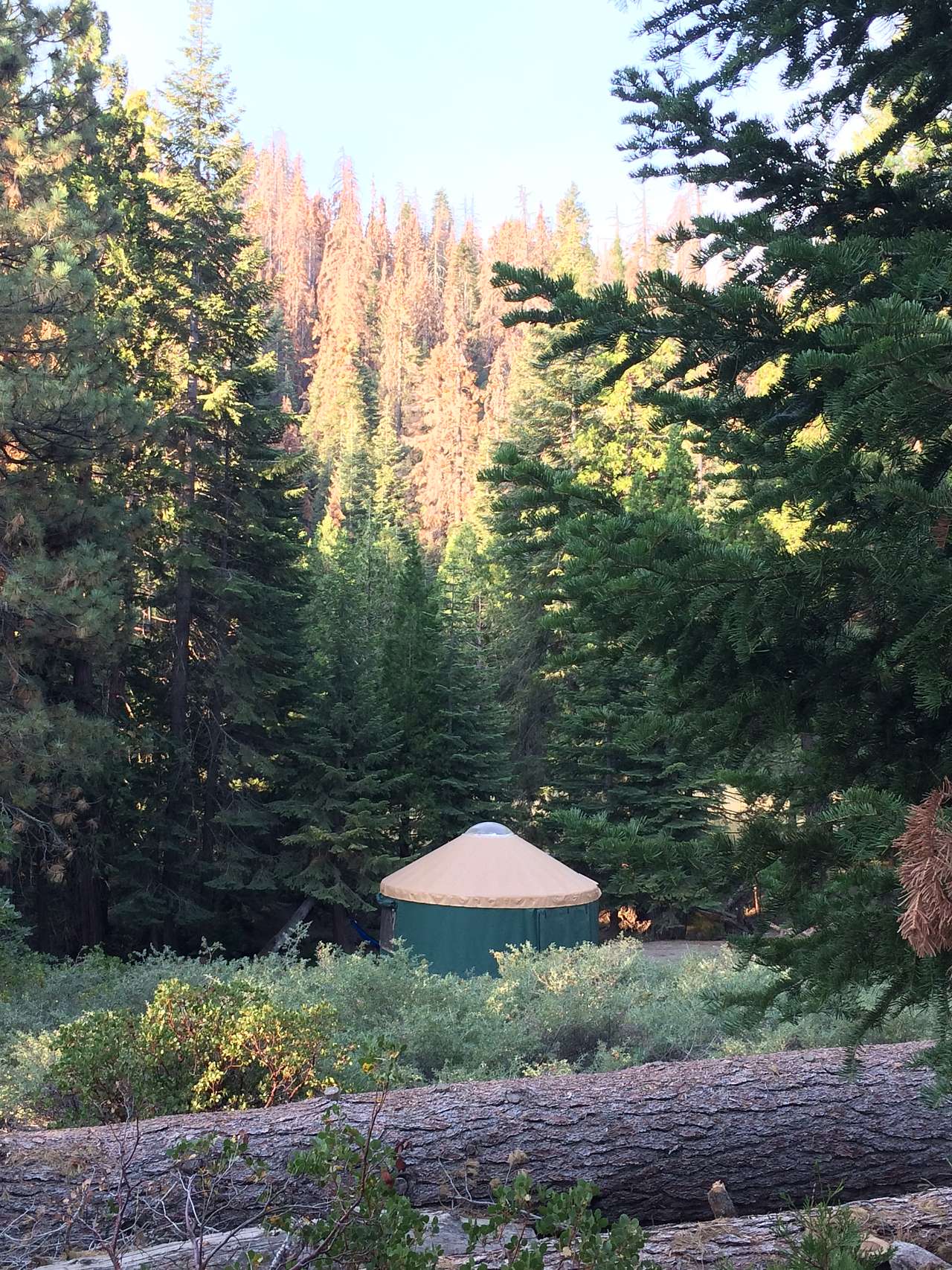 Our campsite in the AM/ view from where our car was parked