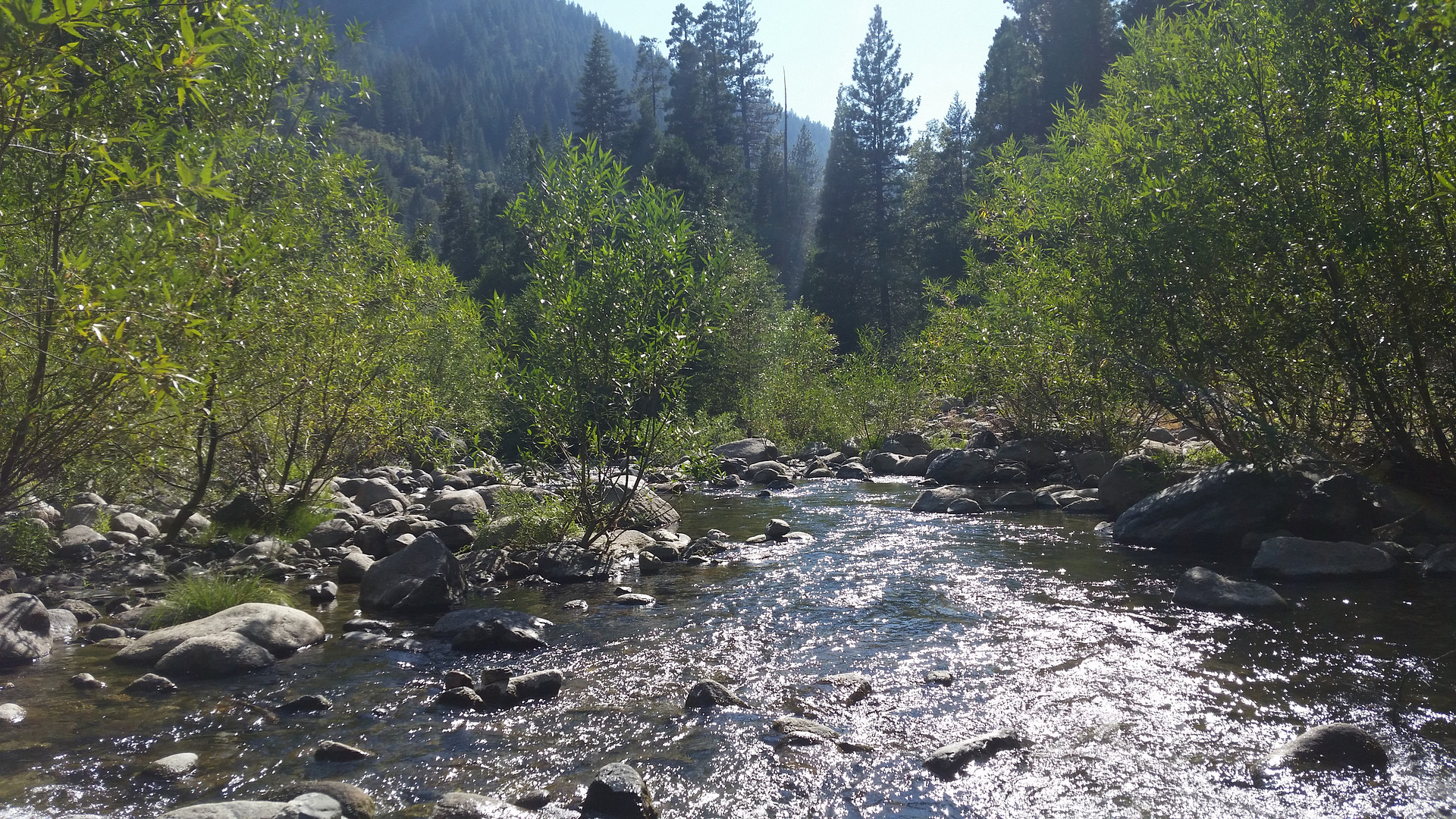 A look downstream below the swimming area.