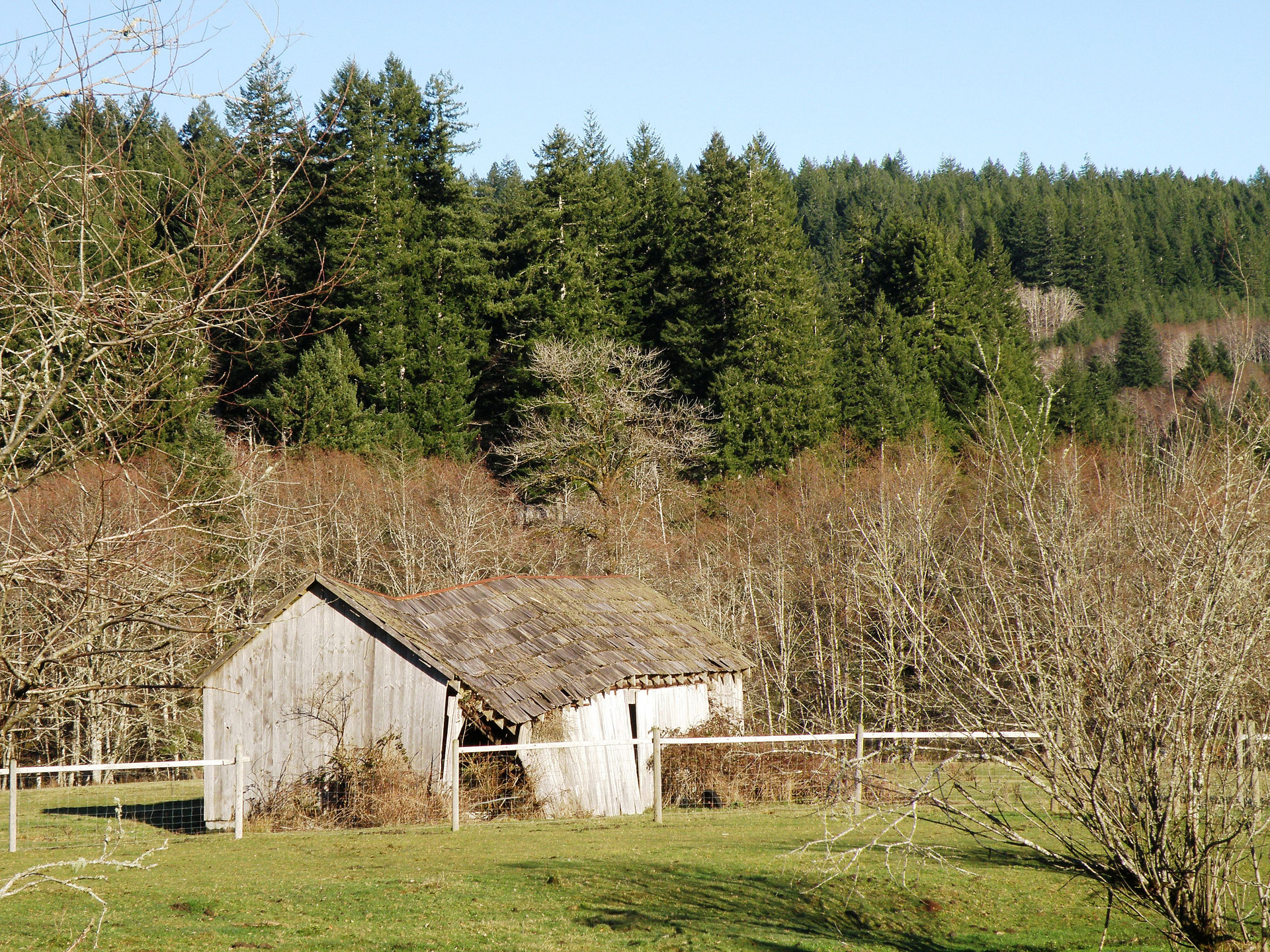 The Old Shed
