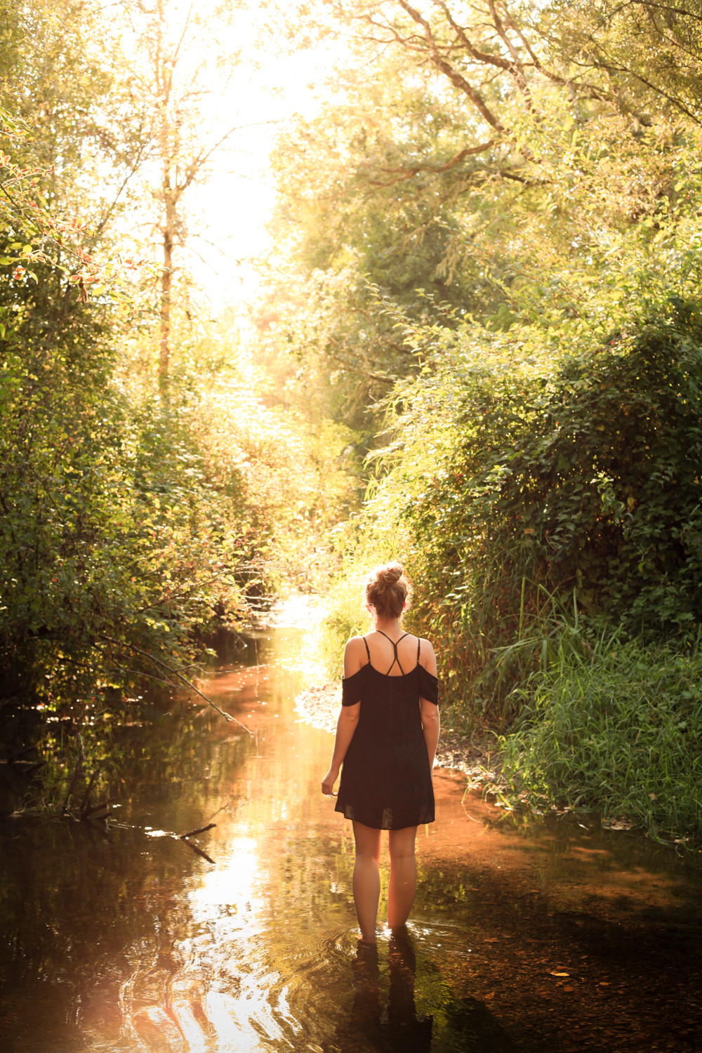 It was hard to not hang out in the creek the whole time it was pretty magical!