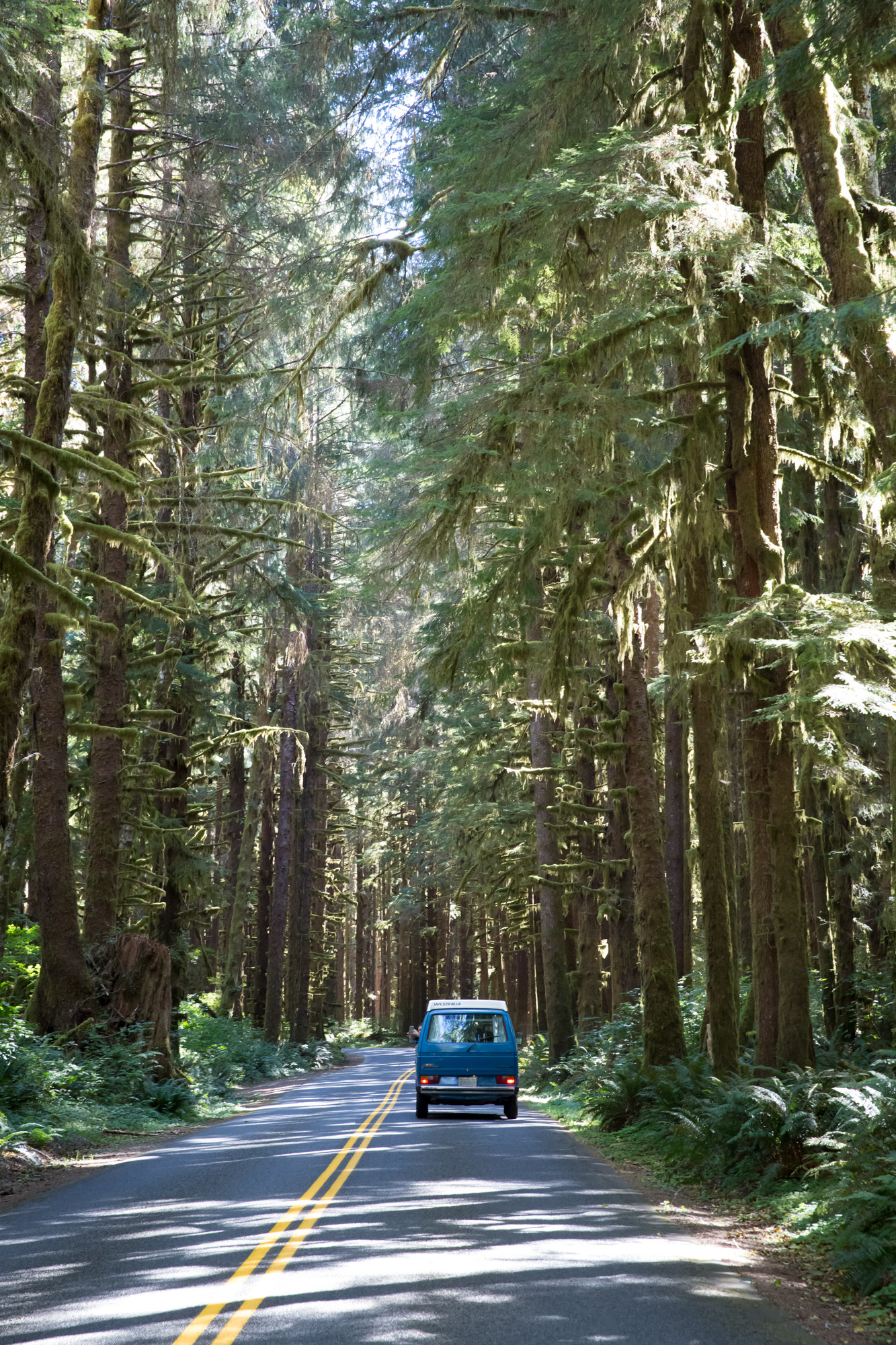 En route to the campground.