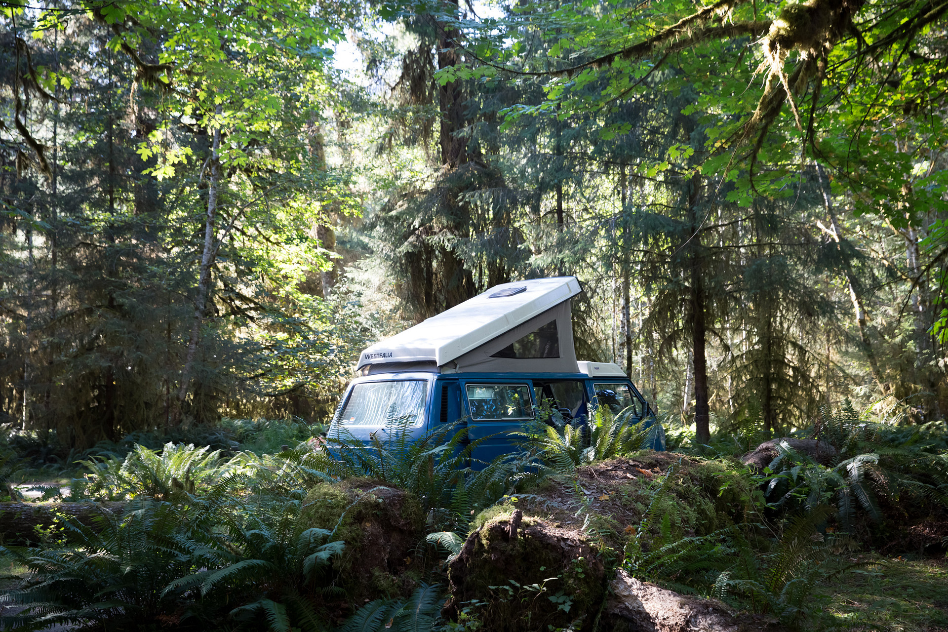 Hoh Campground
