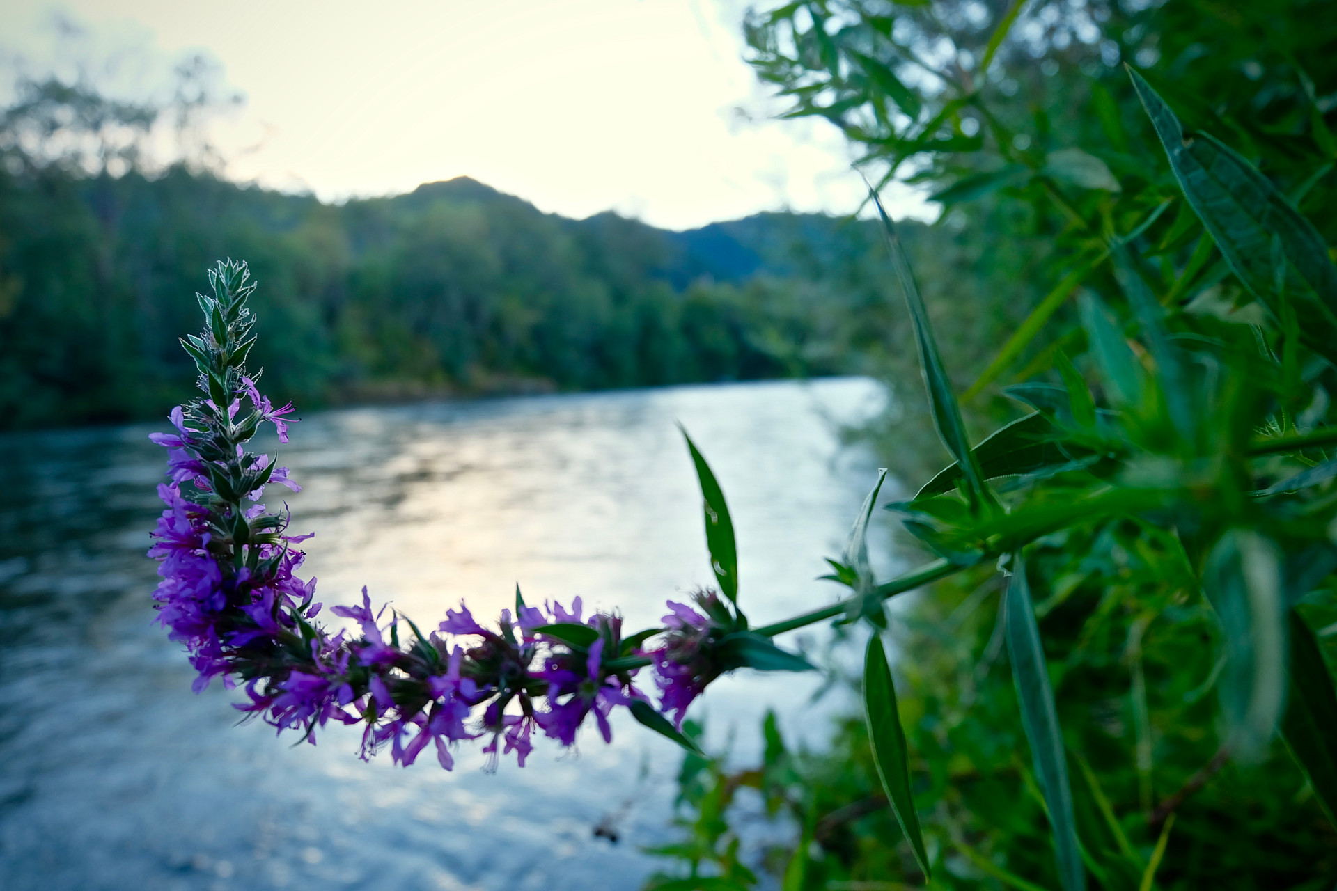 Valley of the Rogue State Park