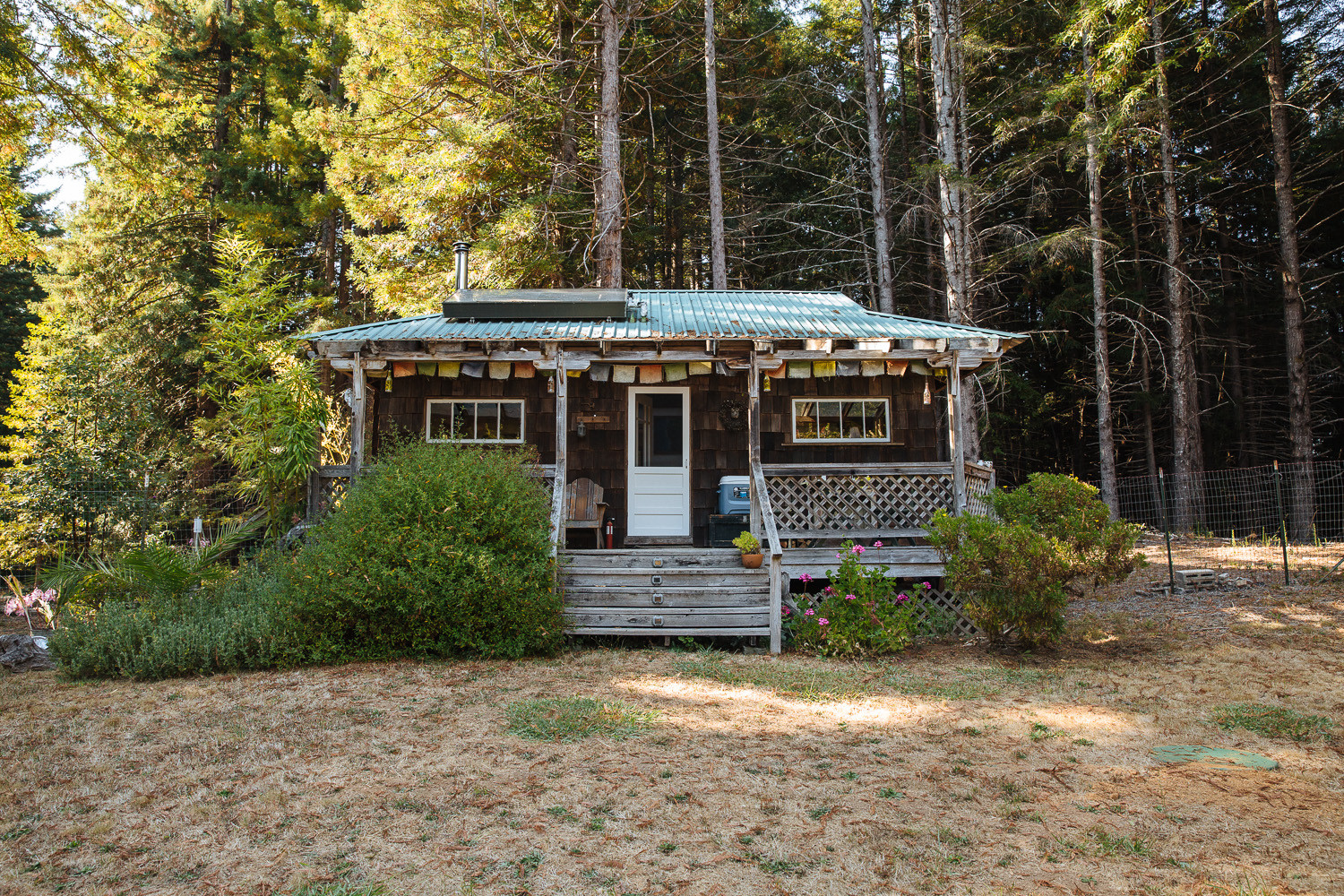 Aloha Cabin from the enclosed yard area