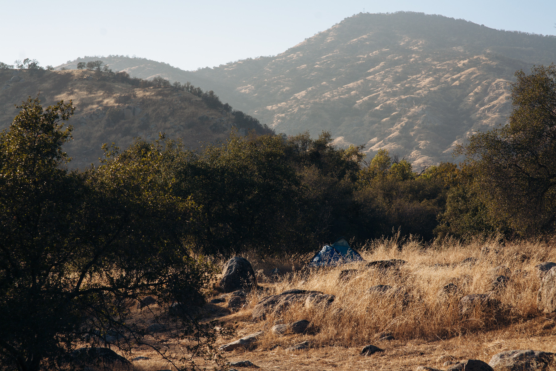 I spy a blue tent hidden in the grass
