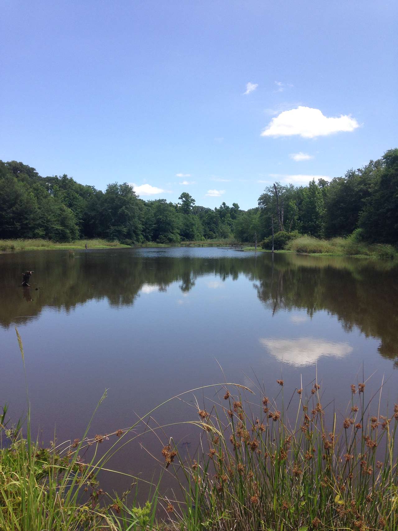 Sandy Ridge Camping