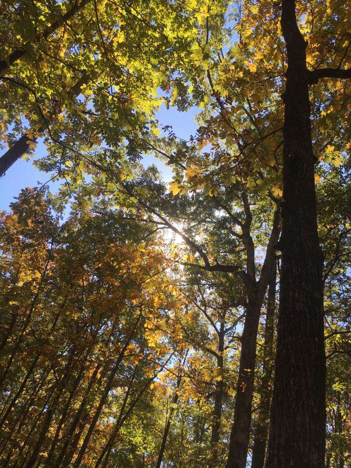 Legion Campground