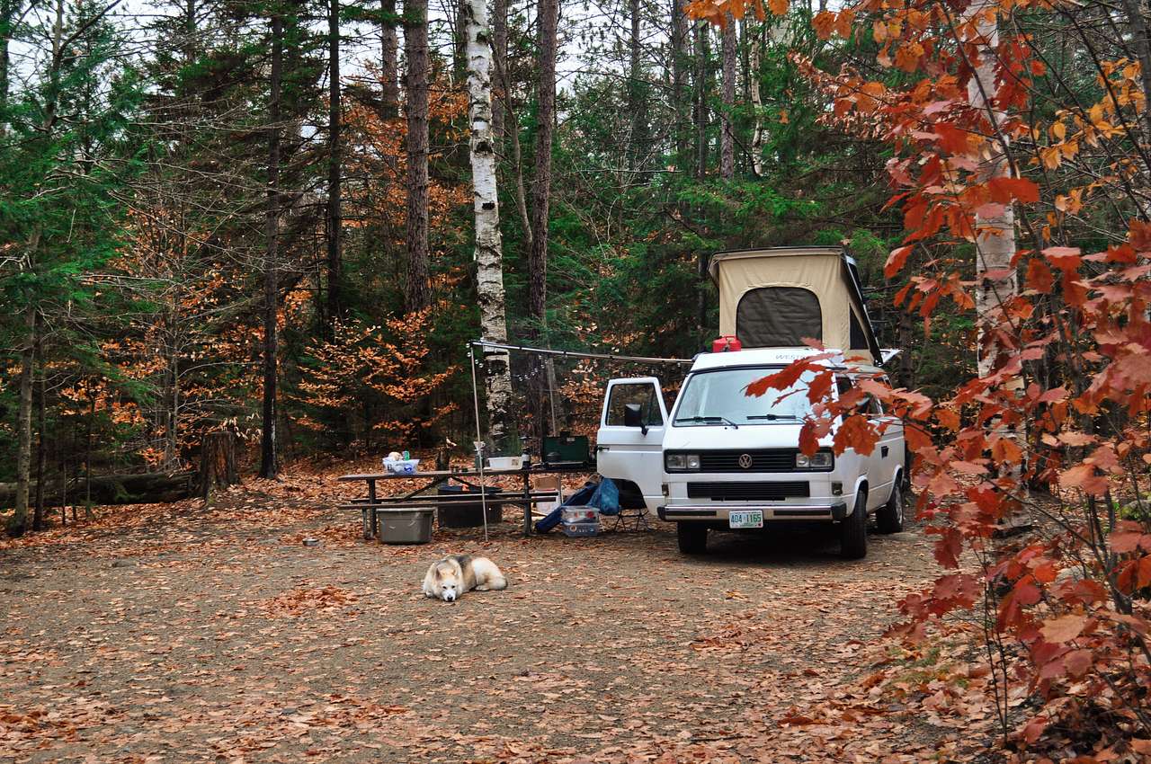 Easy van access, and a great fall campsite.