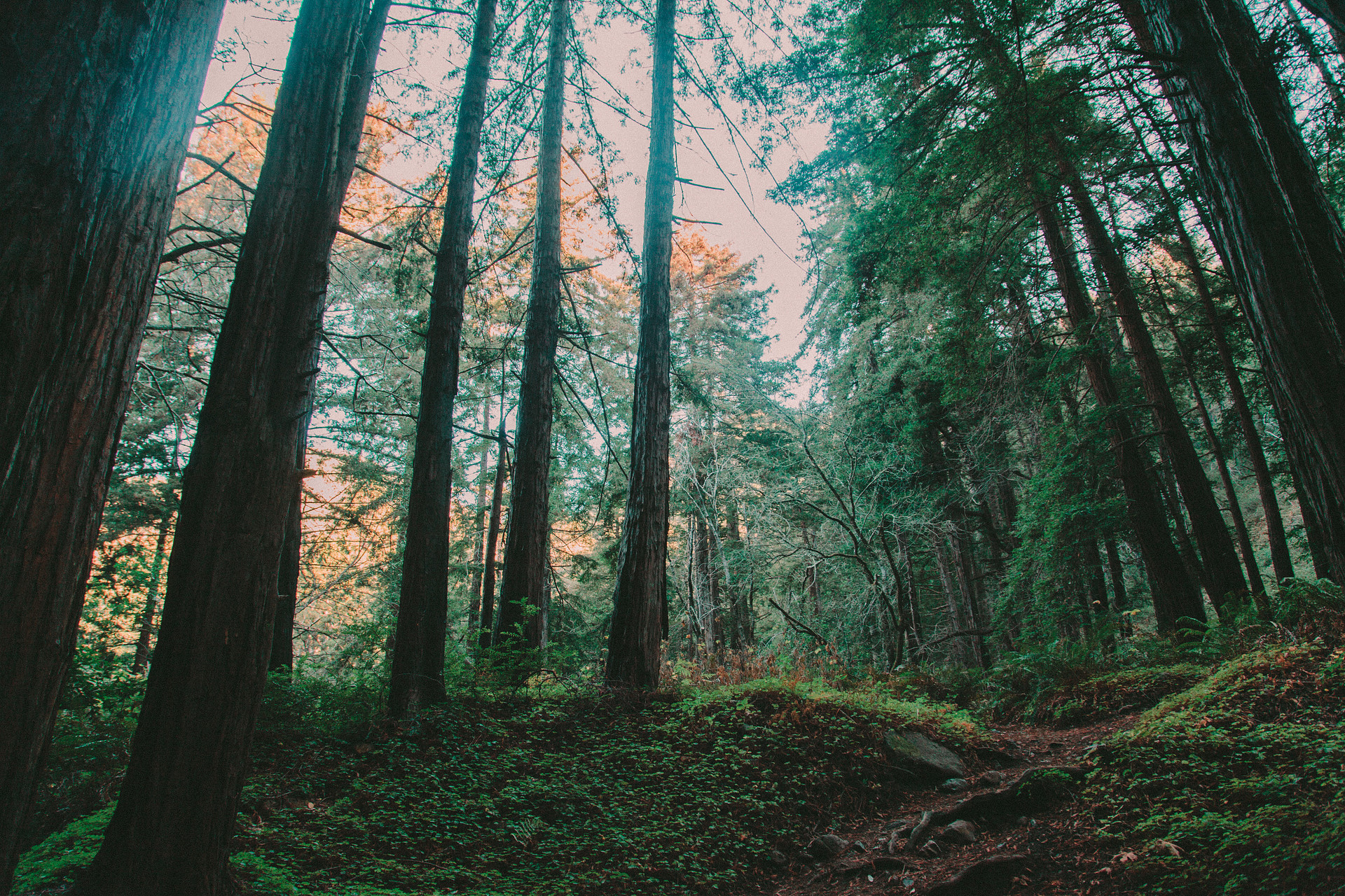 Trailhead 