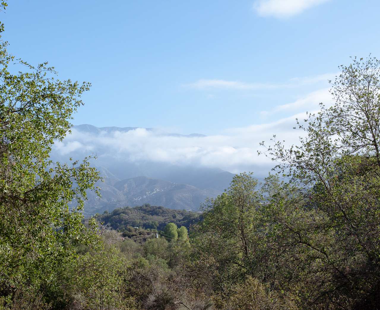 Middle Lion Campground