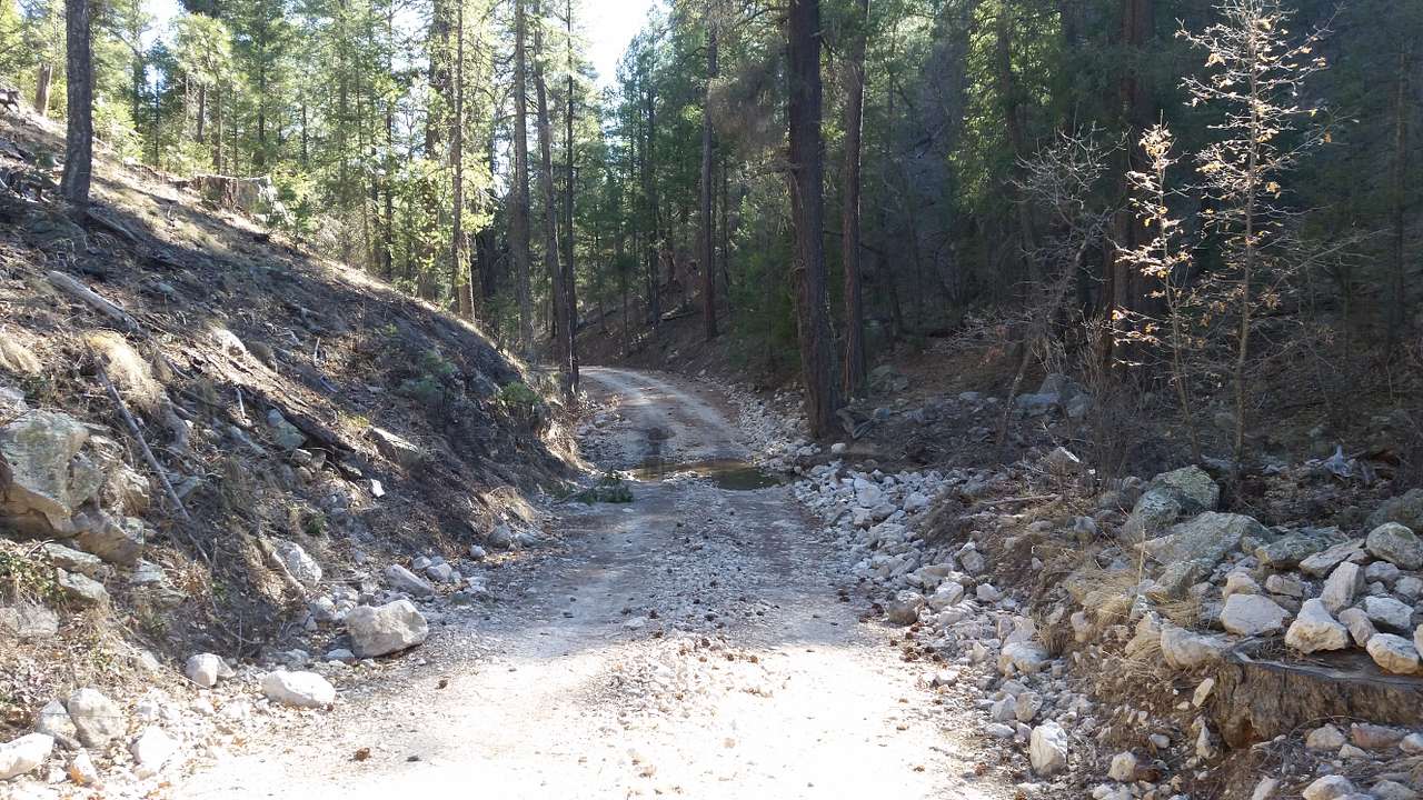 The road leading to the campsite.  RVs? Good luck with that...