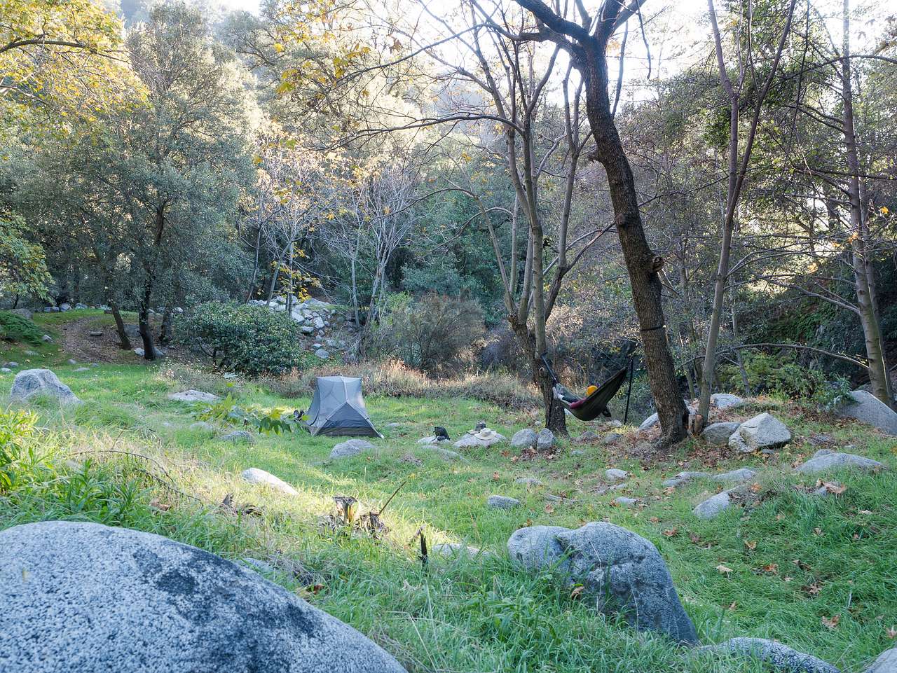 "Hammock-friendly meadow, creek running through the camp."
