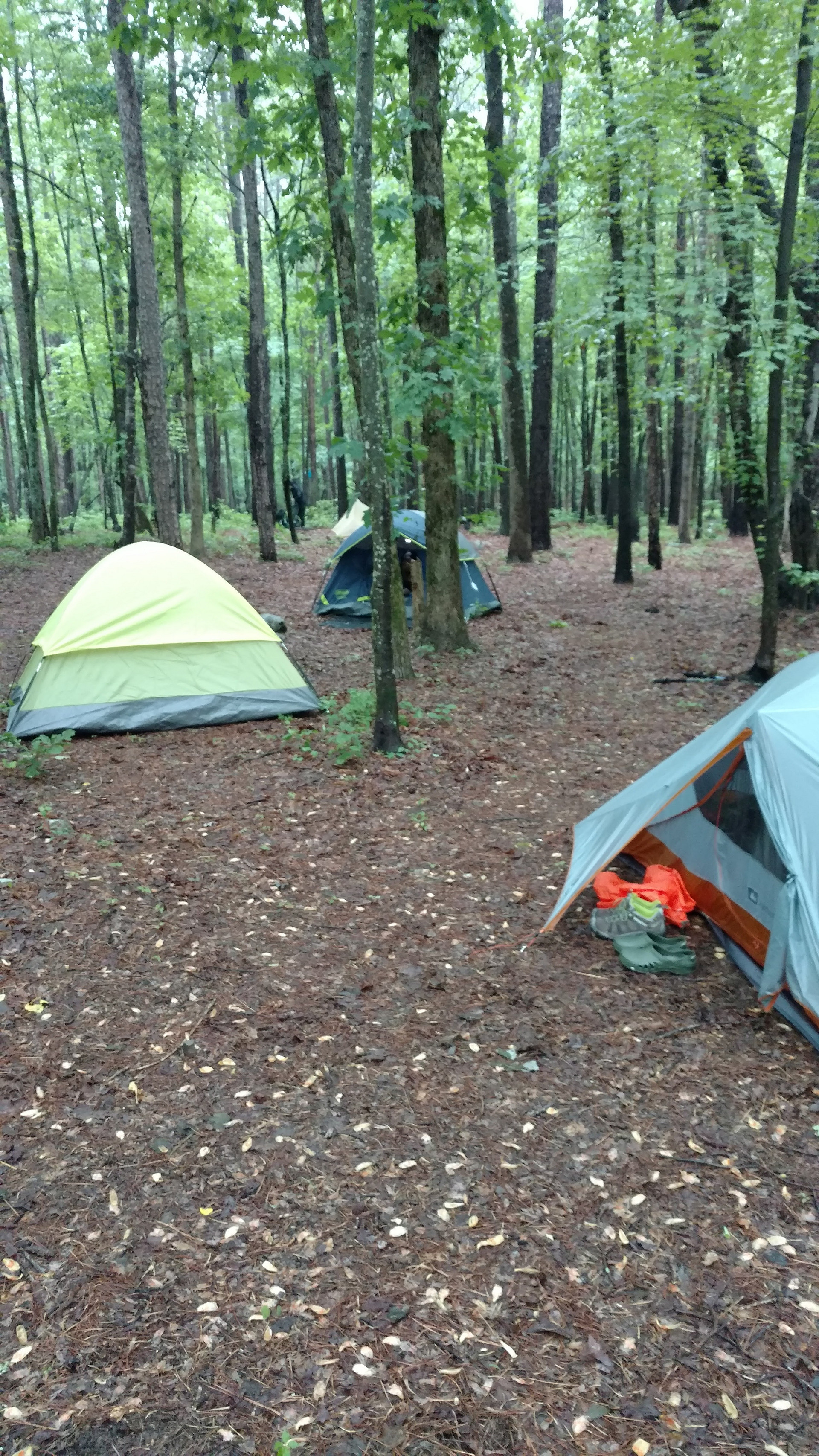 Uwharrie National Forest