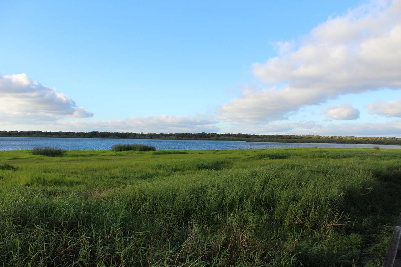 Lake Myakka