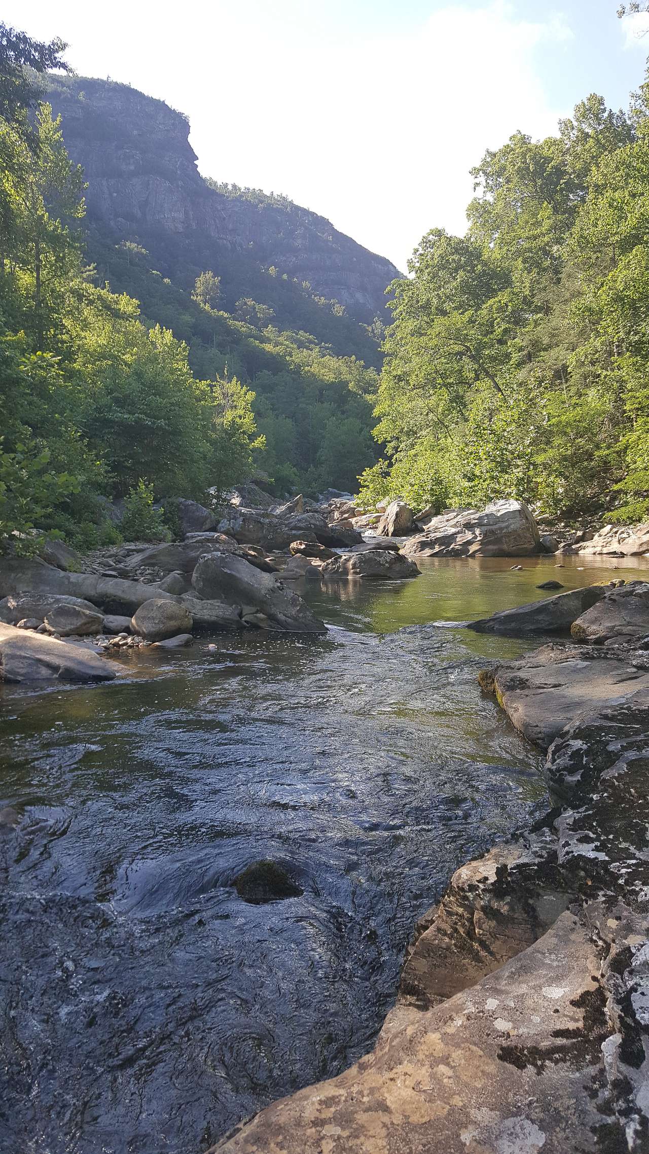 A shot from the middle of Linville River
