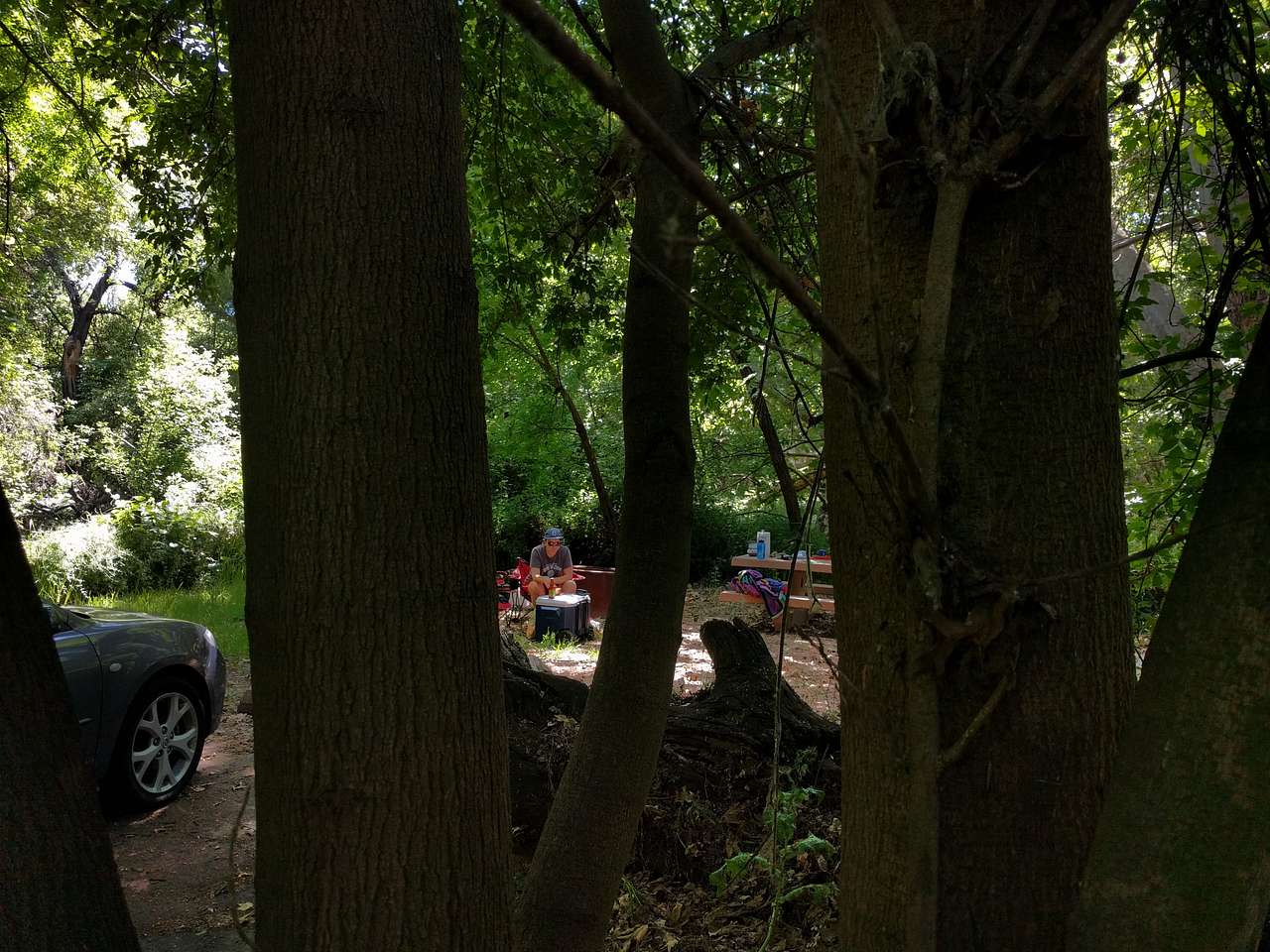 Caswell Memorial Campground