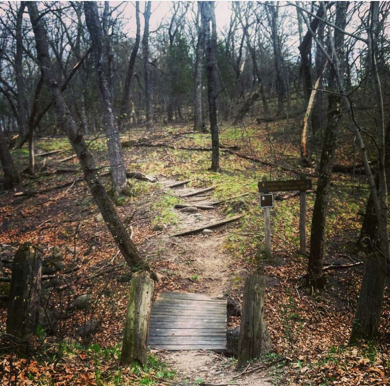 If you like beaten path trails with inclines , then Fort Ridgley is the place for you . 