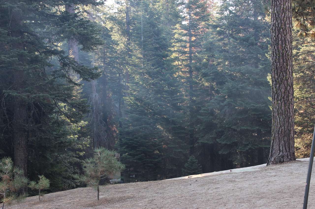 Sunset Campground