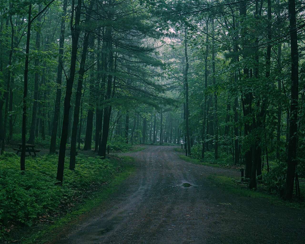 Camden Lower Campground