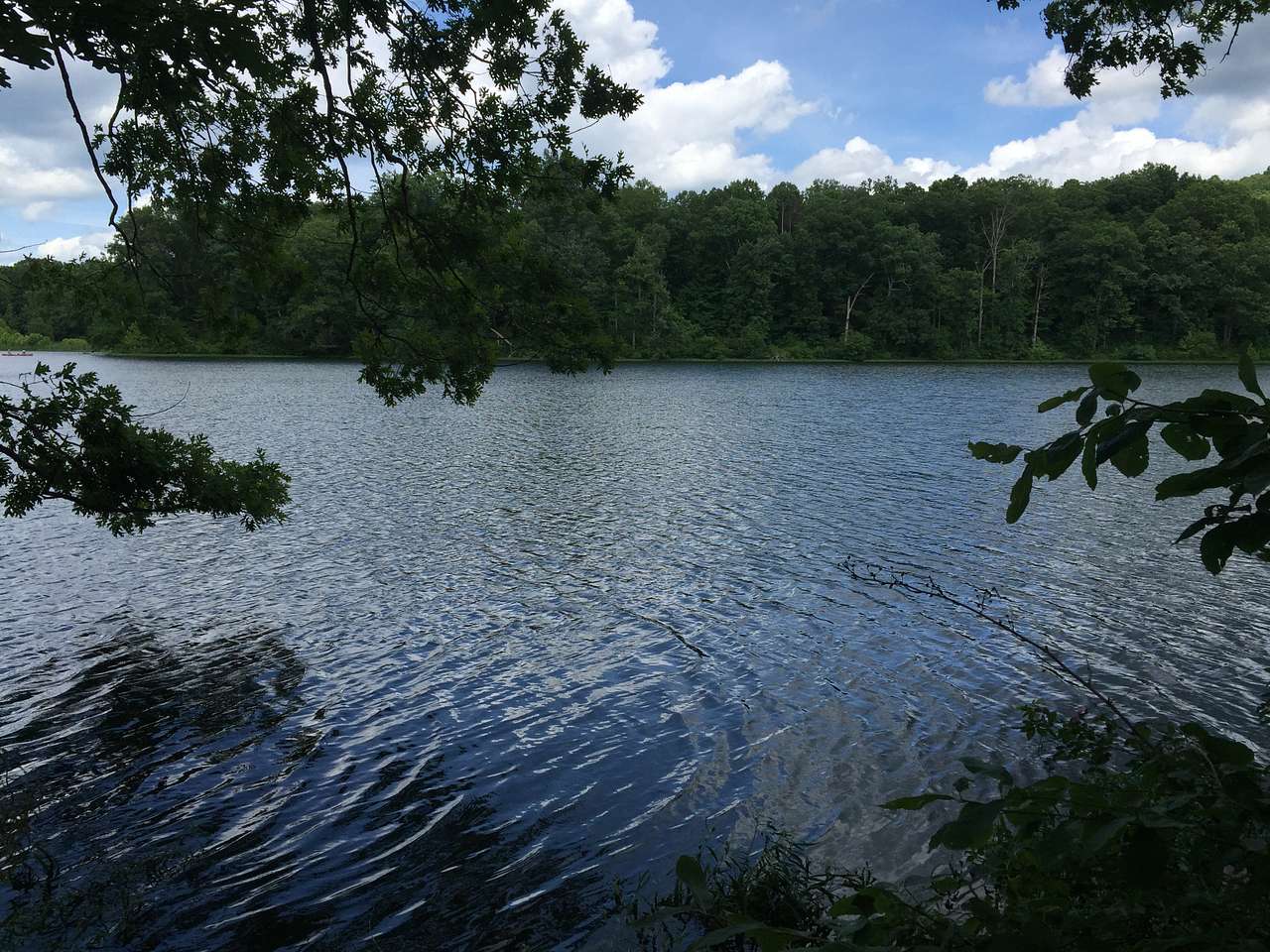 Yellowwood Campground