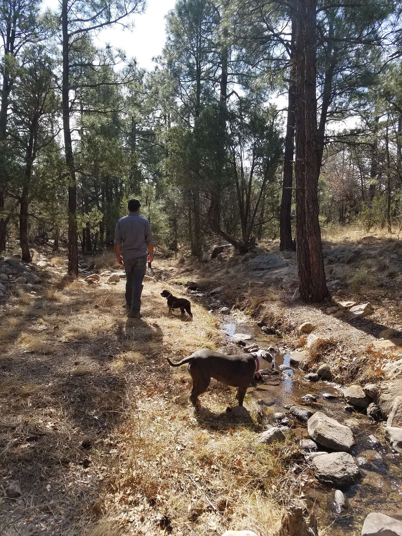 Baca Campground