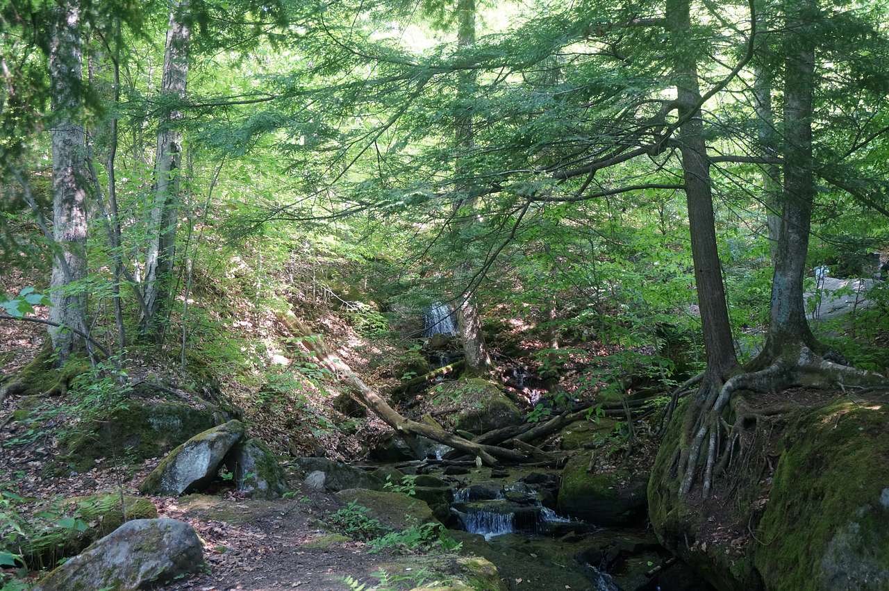 Lots of hikes following streams/tributaries.