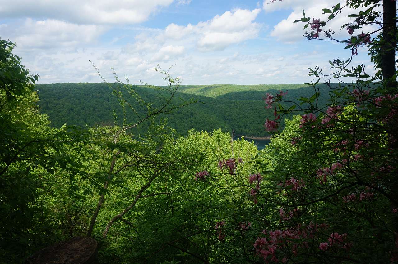 Find some trails close by that take you up to some stunning views of the Allegheny River and the Allegheny Forest!