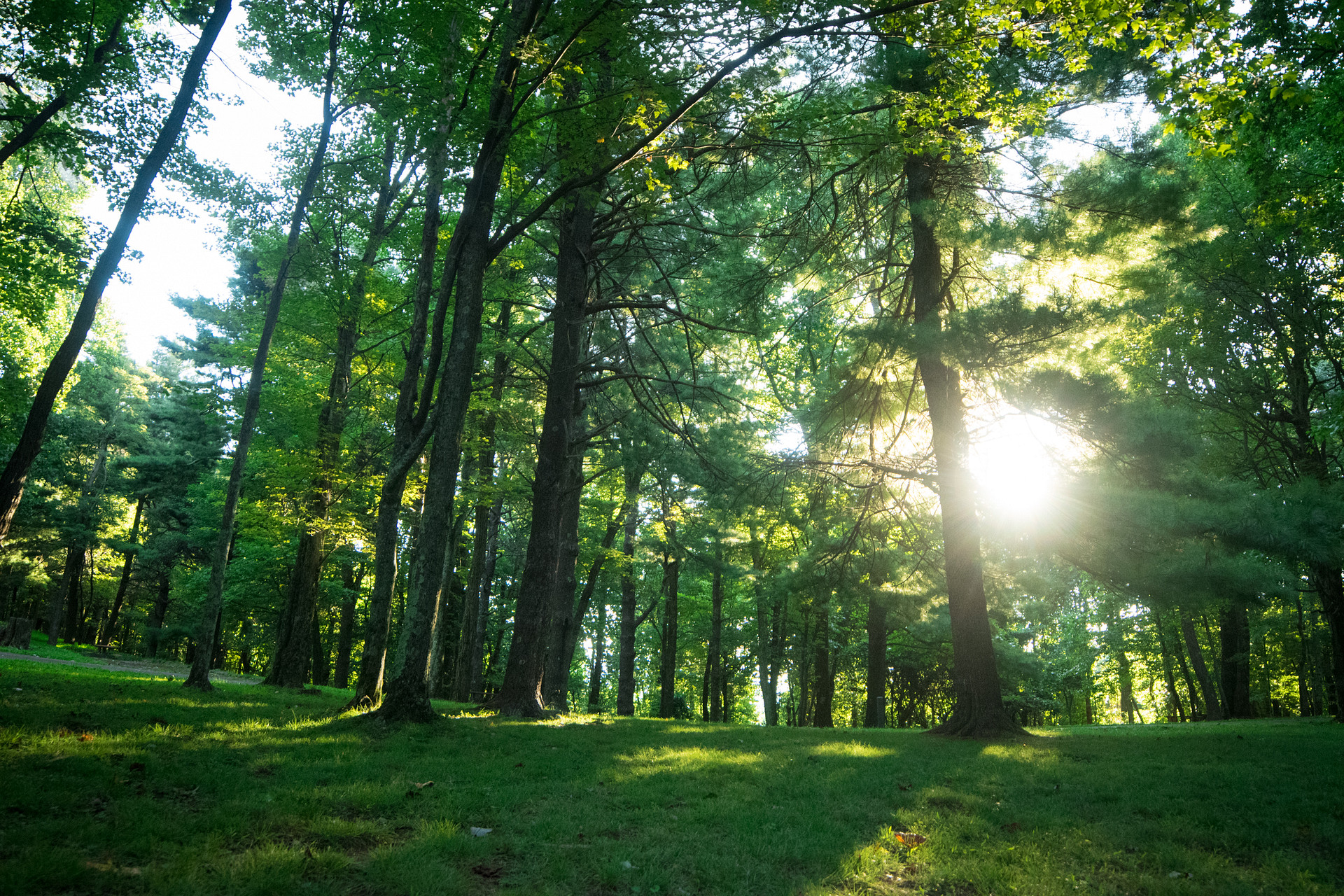 A gorgeous morning sunrise from my campsite. 