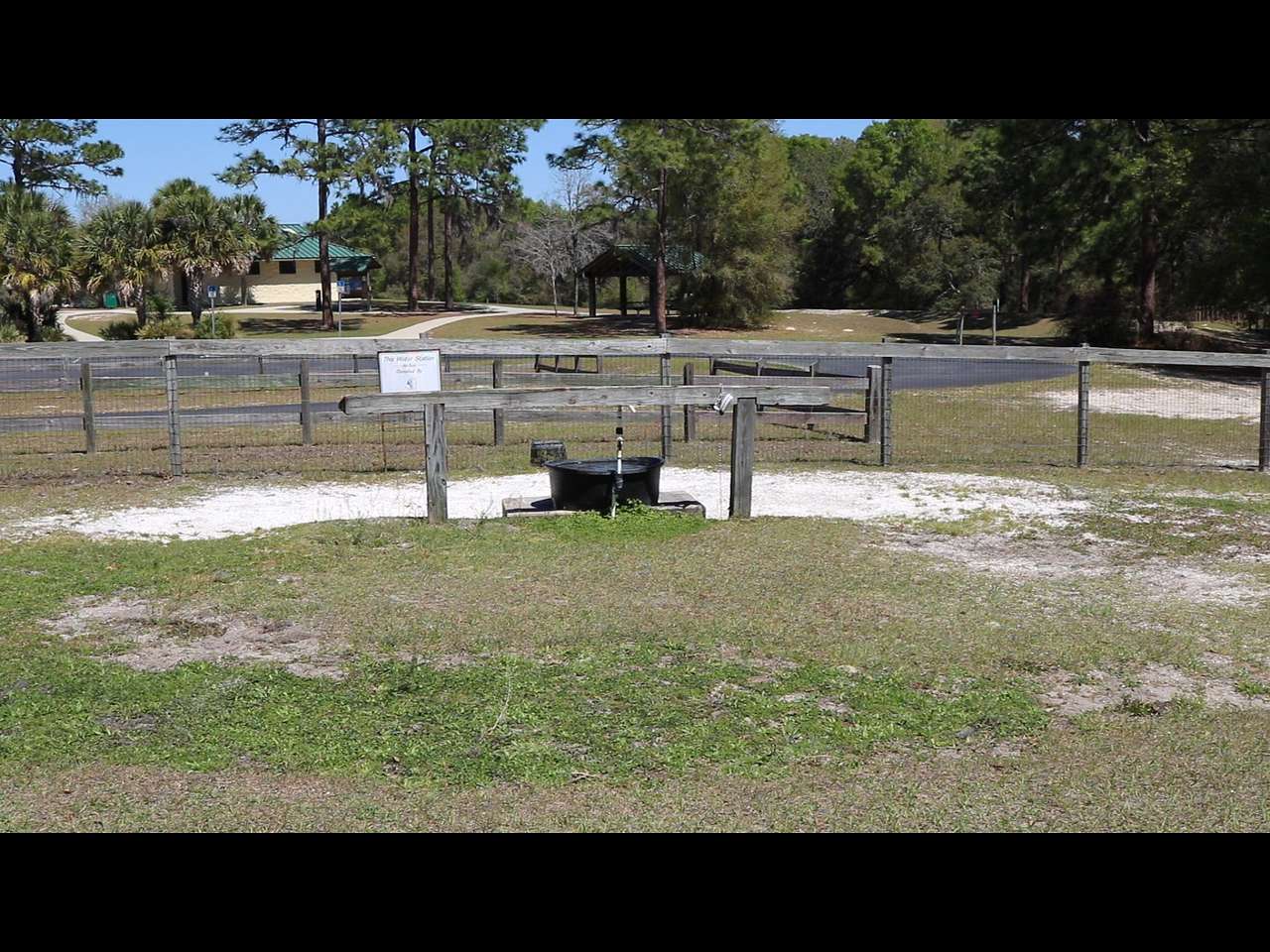Horse Trough 