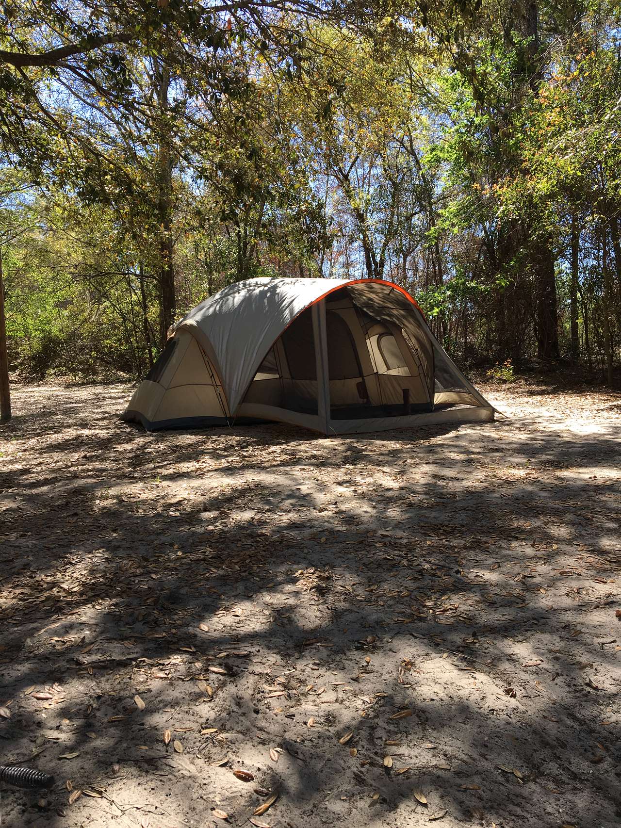 Large shady camping spot. Great if you have horses, but very close to suburbia. Houses were 50 yards away.