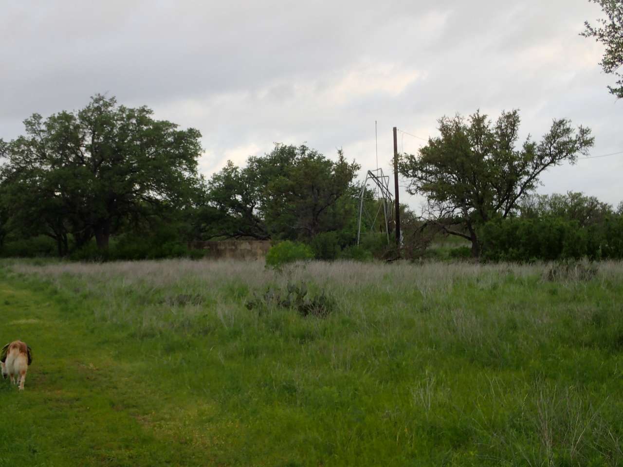 Yes there is a windmill here.