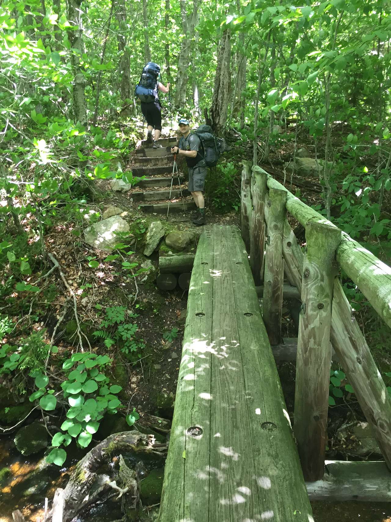 Stratton Pond Trail
